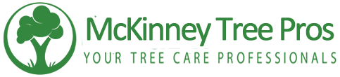 Tree Service McKinney, Texas