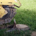 McKinney Stump Grinding