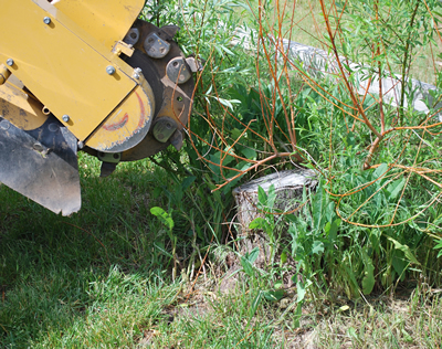 McKinney Stump Grinding